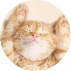 可愛い動物＆赤ちゃん動画 ꪔ̤̮