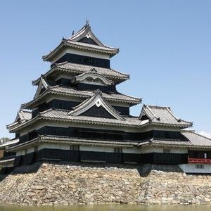 炎髪灼眼のさくら