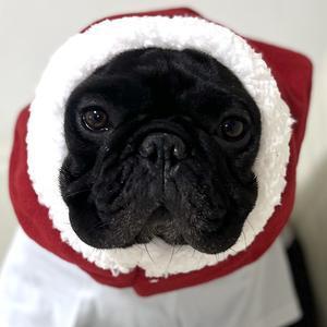 タプちゃんねる