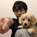 「てぃかし」「ワンチュー犬」←検索