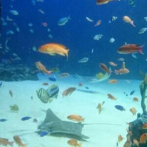 もっと笑っちゃいなよ