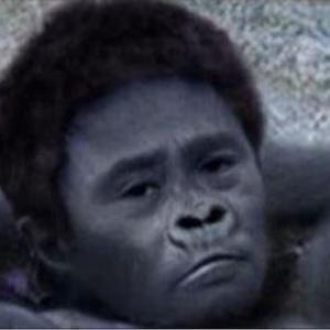 俺のお笑いライフ