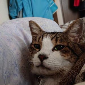 さと吉★相互フォロー100%