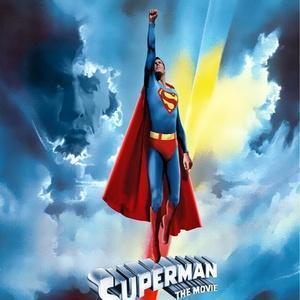 茶々丸クロニクル