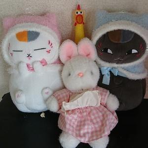 HDM 相互フォロー100％