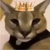 King Hecker-avatar