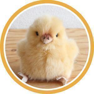 よたりん【相互フォロー】