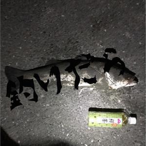 まこまっどチャンネル