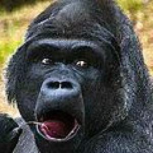 相互川島あきら