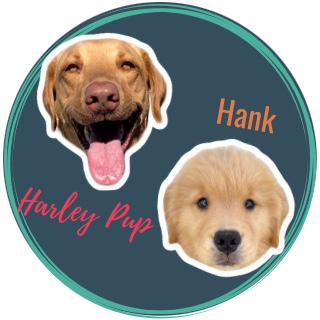 HarleyPup+Hank's images