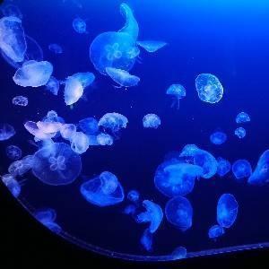 おもしろ動画(☆∀☆)