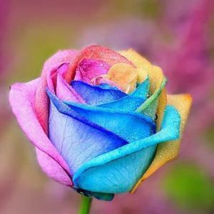 shin【相互フォロー100%】