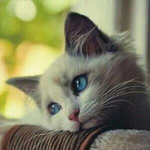 日常TV@いいね、コメントお願いします(^^♪