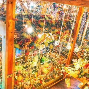 まぁちゃんねる。