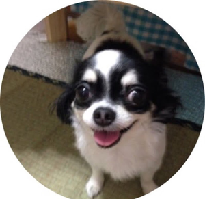 yato65ちゃんねる