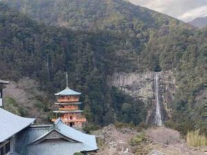 フウライボウ@相互フォロー