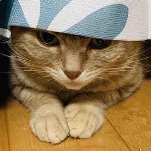 色々動画チャンネル[相互100%]