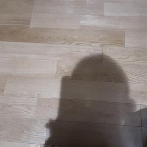 倉田チャンネル相互フォロー100%