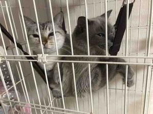 猫と姫の思い出TV(*ΦωΦ*)【相互】