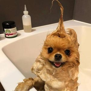 みんなの癒しの場