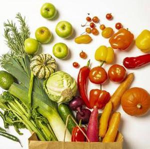 フードテロセッサー