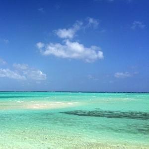 素敵な名言やよく当たる心理テスト