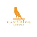 Canarios Lundez