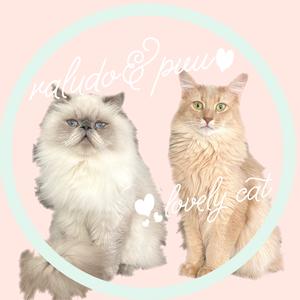 猫のラルドとぷー【相互100】