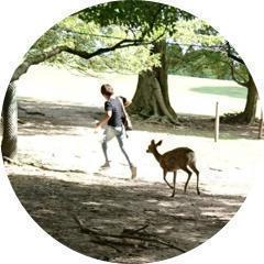 ほっこりする日常