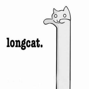Longcat