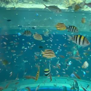 しずく【相互OK】