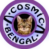  CosmicBengal -avatar