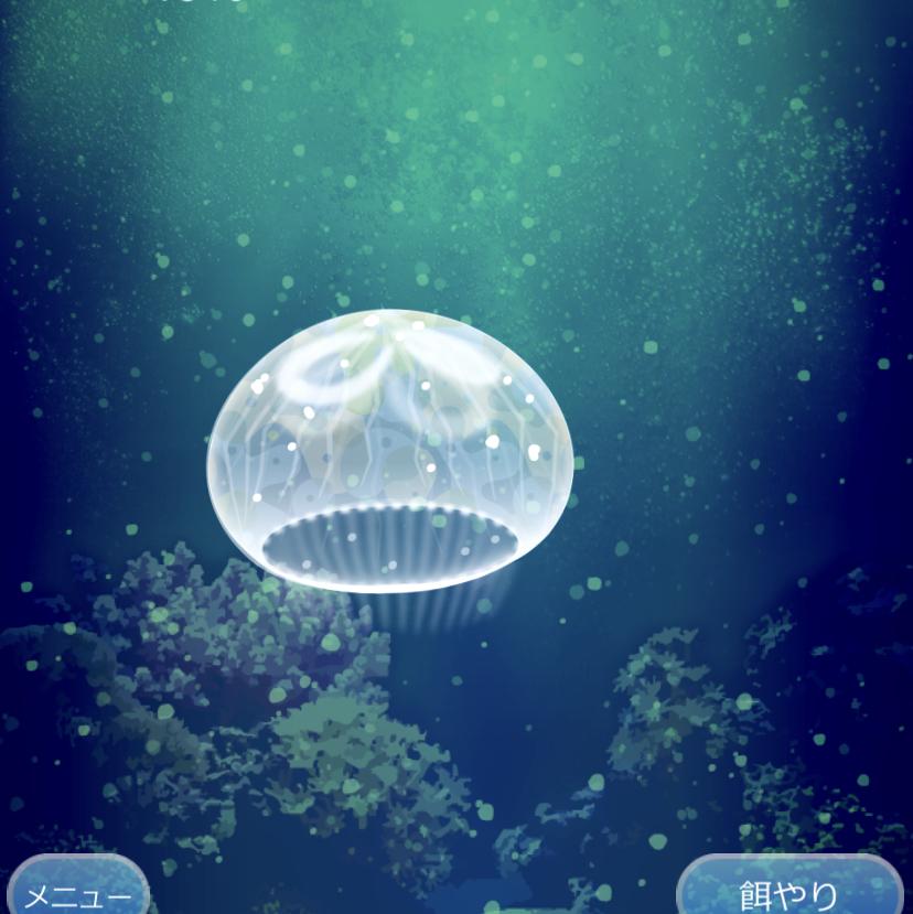 JellyFishの画像