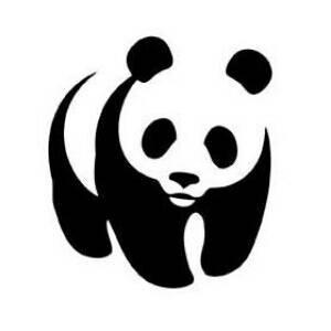 Video Engraçados !!! 😂😂