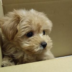 まるチャンネル