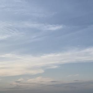 ほのぼのチャンネル