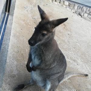 バイクと車好きのオヤジの小部屋