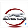 America buses-avatar