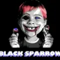 BlackSparrowstudio