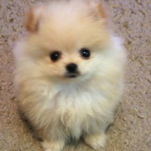 上村真人n°•ᴗ•๑