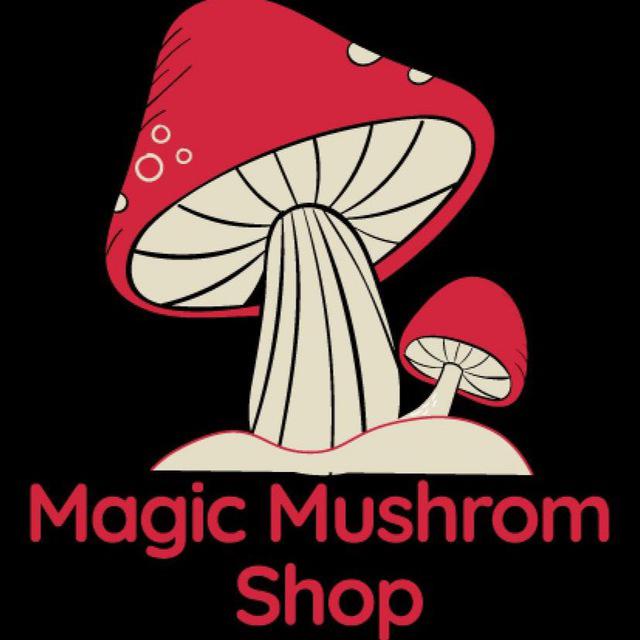 Magic Mushroom's images