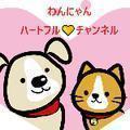 わんにゃんハートフルチャンネル