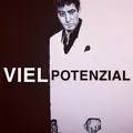 vielpotenzial