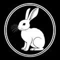 White Rabbit456
