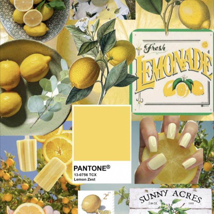 Lemon_8er🍋's images
