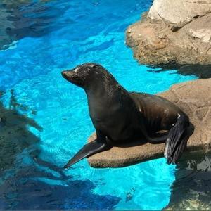 留年が決まった日 高校ダブり芸人 アメトーーク バラエティ