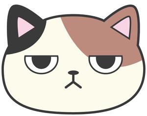 野良猫ちゃんたち