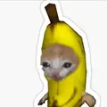 BANANA CAT140