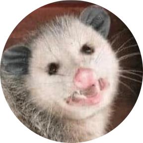 awesomeopossum's images