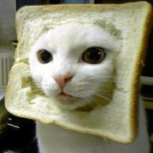 おもしろ動物GIFまとめ